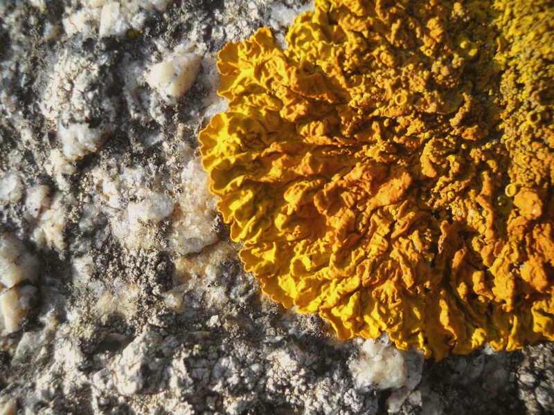 su granito...vicino al mare